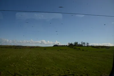 DSC_7220 (Large).JPG